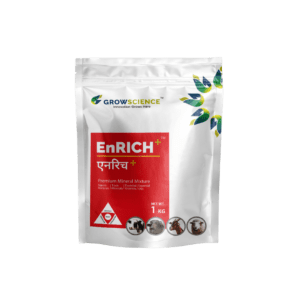 Enrich