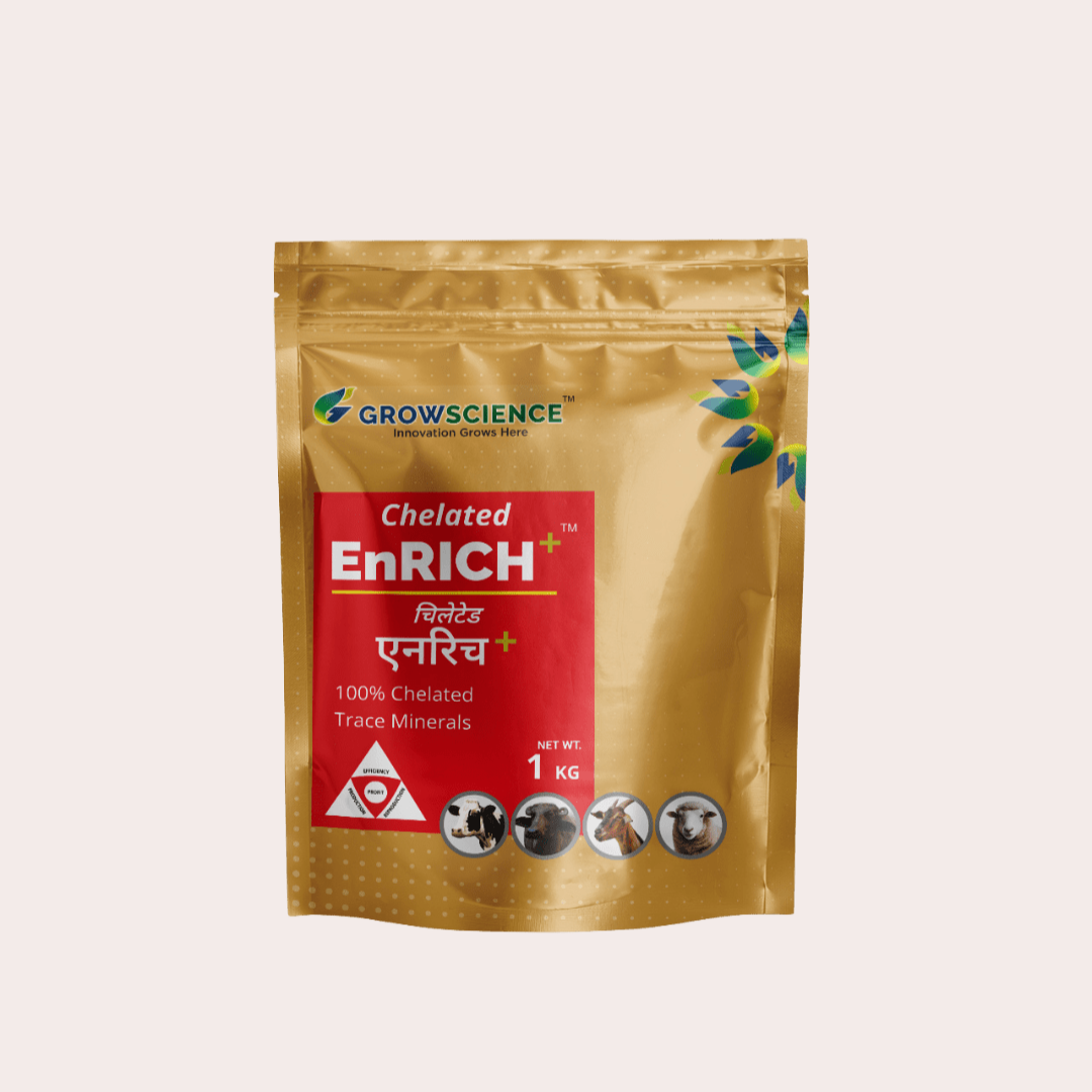 Chelated EnRich+