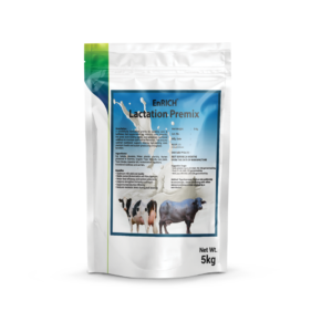 EnRICH Lactation Premix